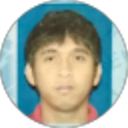 Review From Dipta Arimbawa