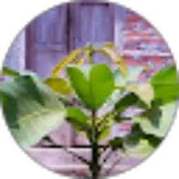 Review From joe joeky
