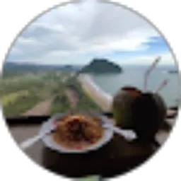 Review From Wahyu Pratama