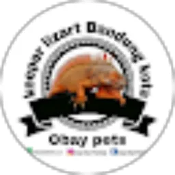 Review From Robby Hadiansyah