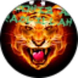 Review From djstatusWA polosan