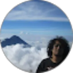 Review From Markus Gunawan