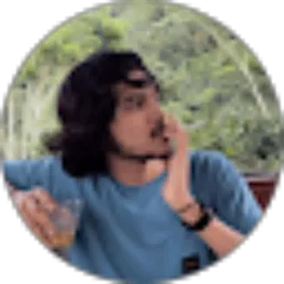 Review From Israudin