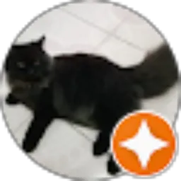 Review From Kucing Garong