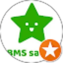 Review From BMS Satria