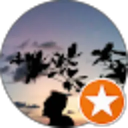 Review From Adi Atmojo