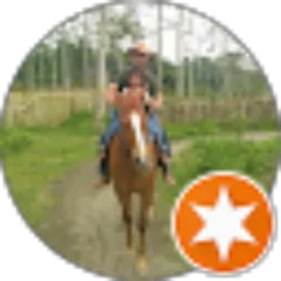 Review From Nathan Nathan