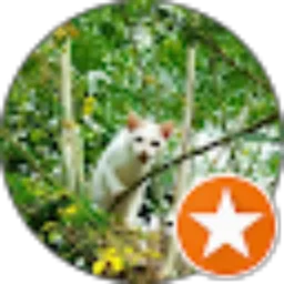 Review From Mufida Dalmadi