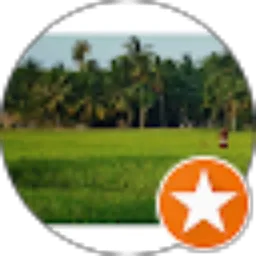 Review From mirza oktavizal