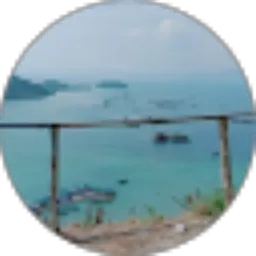 Review From Widie