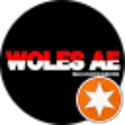Review From woles