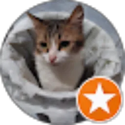 Review From Meisy RegithaS