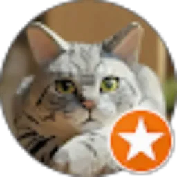 Review From saista saista