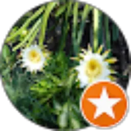 Review From Bentha Ali