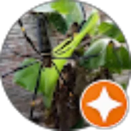 Review From RambideuN