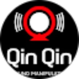 Review From Qin Qin Sound Manipulator