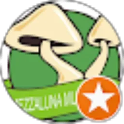Review From Mezzaluna Jamur