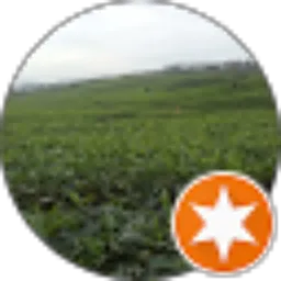 Review From Doss SevenThree (Dos)