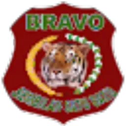Review From Bravo911 Banjarmasin