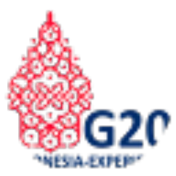 Review From g20indonesia experience