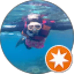 Review From Solo Travelers