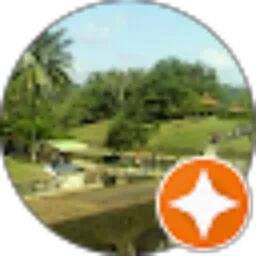 Review From Reno Blora