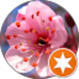 Review From Ervina _L