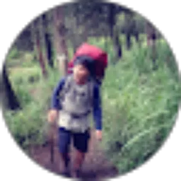 Review From Sulis Santoso