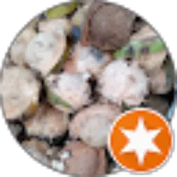 Review From Danang Wahyudi