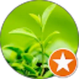 Review From Ahmad Casab