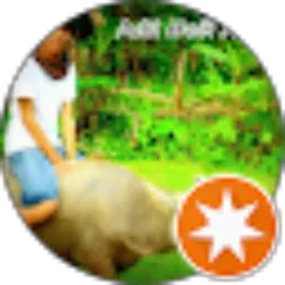 Review From Mas Petrik