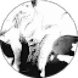 Review From Andi Muliono