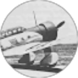 Review From Kamikaze Reza