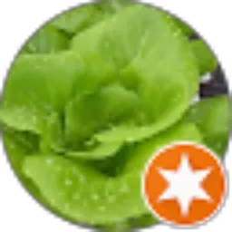 Review From Nurdin SQ