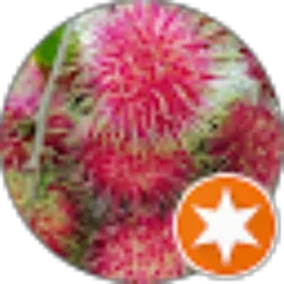 Review From Prazt