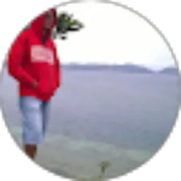 Review From vincentf ennce