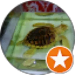 Review From Faisal Andika
