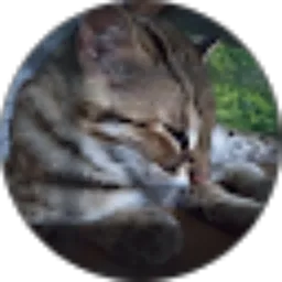 Review From Fyanobrien Channel