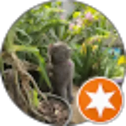 Review From syachra sarivati