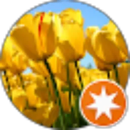 Review From intannove