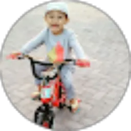 Review From Deryl Alfa