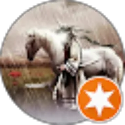 Review From don rahardi
