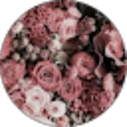 Review From Dini