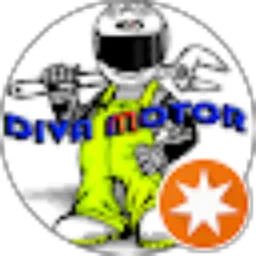 Review From Diva motor (Donil)