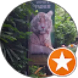 Review From Andreas Andreas