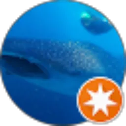 Review From Gili Fast and Fun