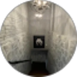 Review From lifeofvandal 2