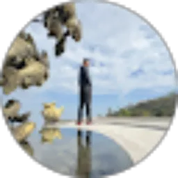 Review From Ricky Anders