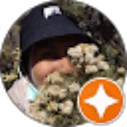 Review From Ahlul 09