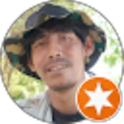 Review From Pandawa service